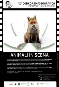 2016-12-01 Concorso fotografico Animali in scena-bassa.output