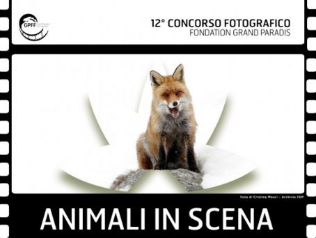 Concorso fotografico Animali in scena